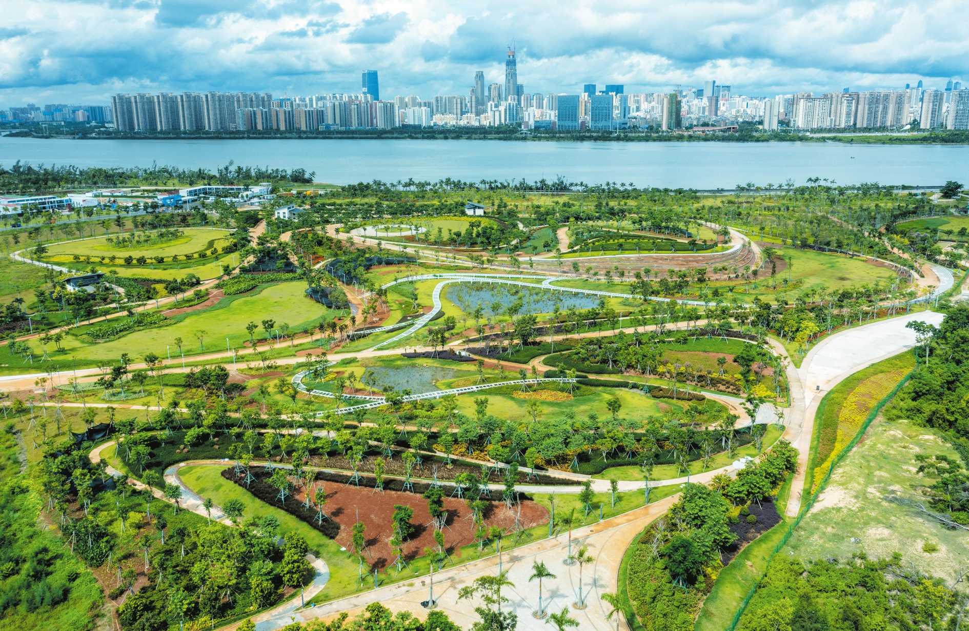 南渡江畔跃动“绿色音符”