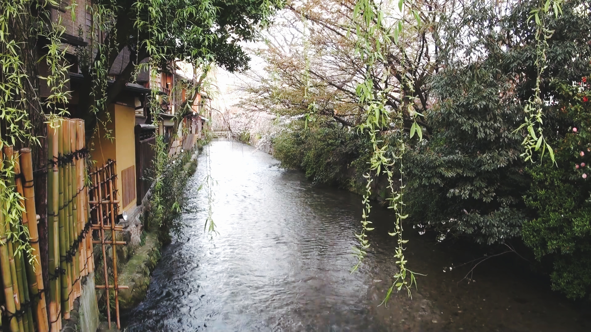 日本京都穷游记
