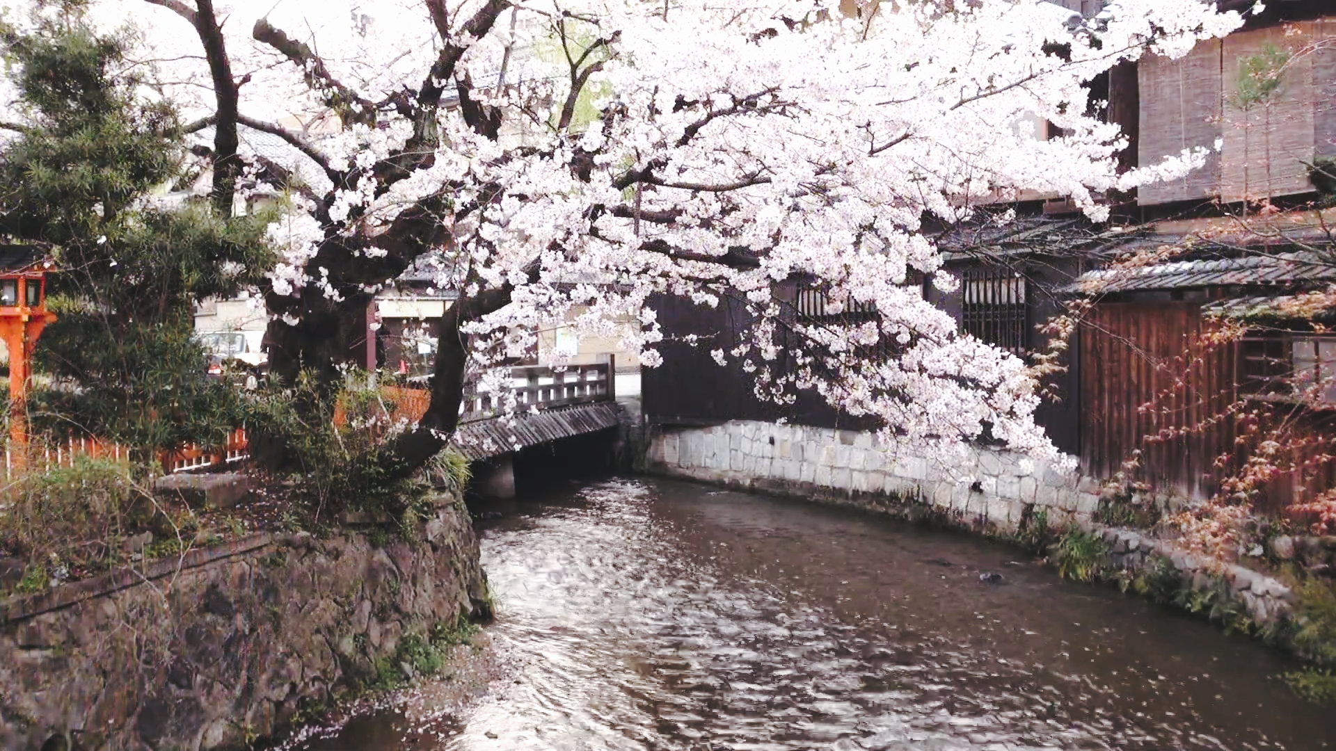 日本京都穷游记
